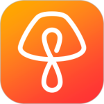 城家app下载安装最新版